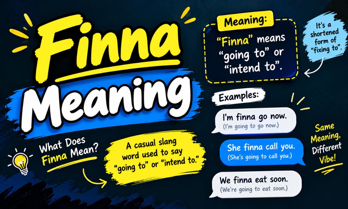 Finna Meaning